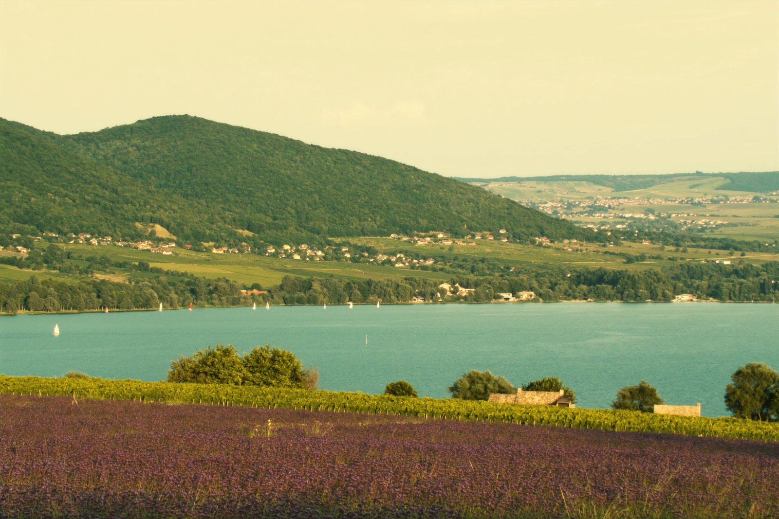 Beste Reisezeit am Balaton