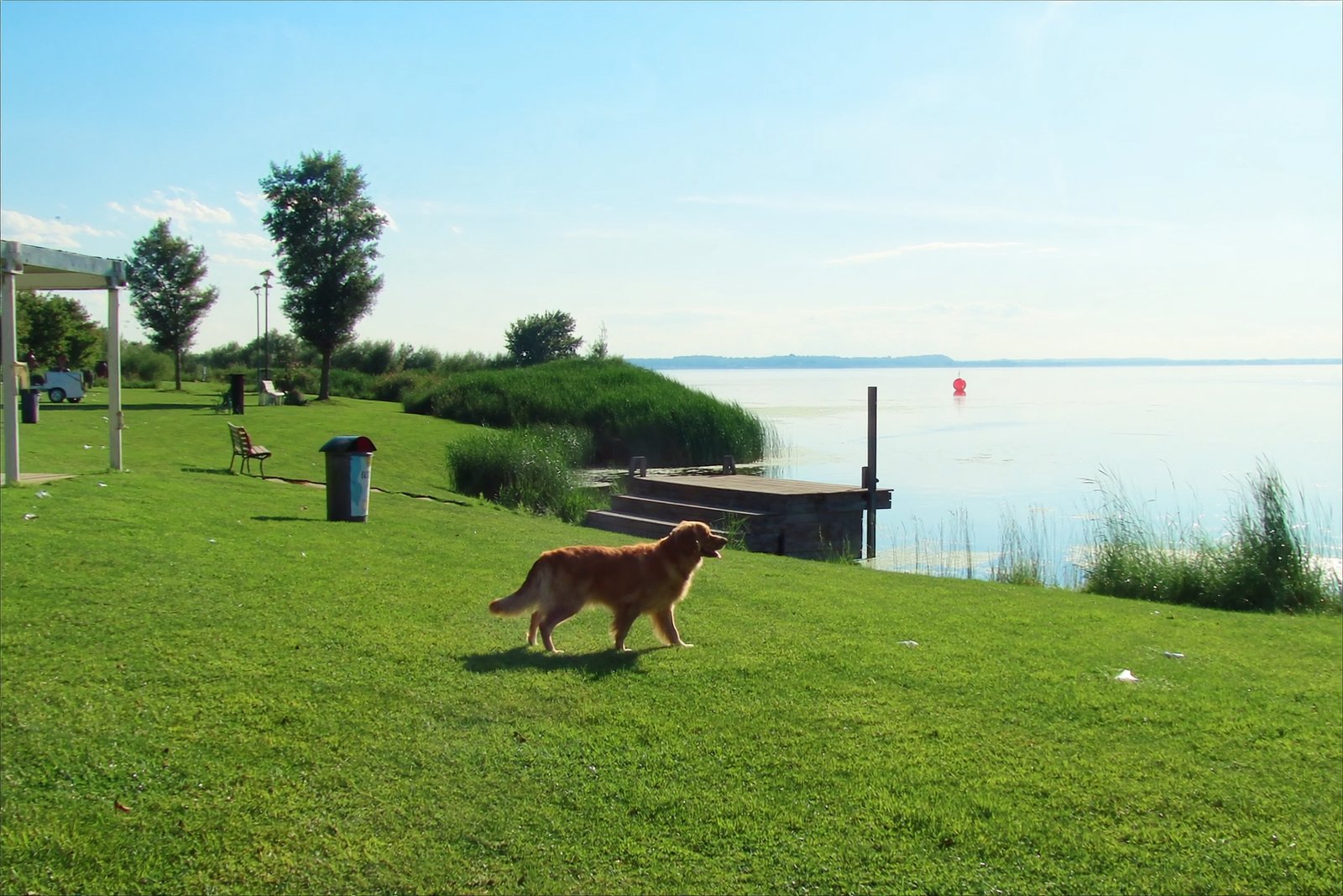Urlaub mit Hund am Balaton